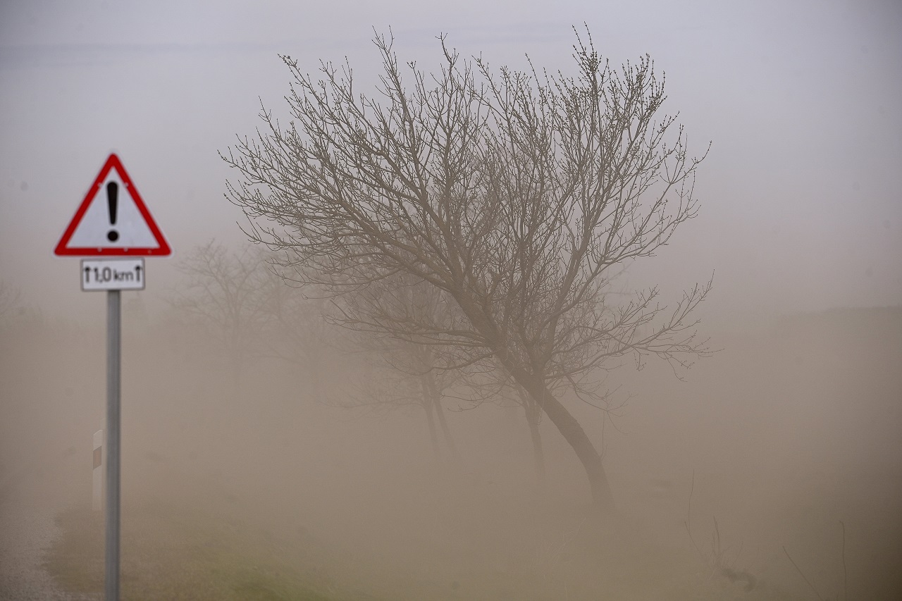 Dupla veszély leselkedik az autósokra: a porvihar mellett az útra rohanó vadra is figyelni kell